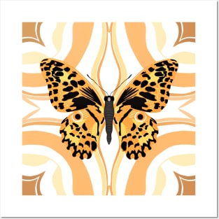 Orange Butterfly Posters and Art